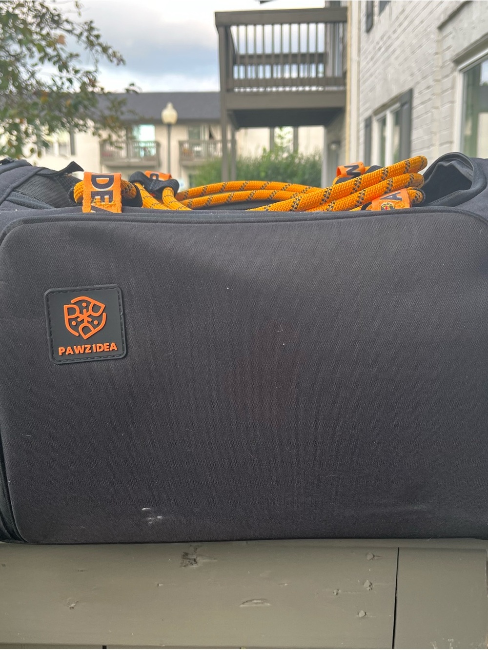 PAWZ Black Pet Carrier with Orange Accents